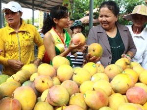 Australia c&ocirc;ng bố chiến lược n&ocirc;ng nghiệp ưu ti&ecirc;n tại Việt Nam