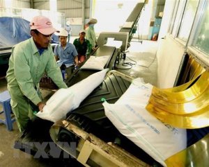 Gi&aacute; gạo Việt Nam tăng l&ecirc;n mức cao nhất trong 9 năm qua