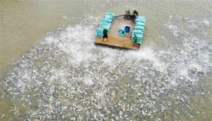 Chuyển đổi tư duy kinh tế n&ocirc;ng nghiệp: Để n&ocirc;ng d&acirc;n l&agrave; chủ thể