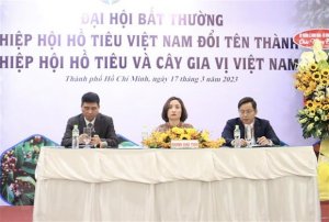 Hiệp hội Hồ ti&ecirc;u Việt Nam đổi th&agrave;nh Hiệp hội Hồ ti&ecirc;u v&agrave; c&acirc;y gia vị VN