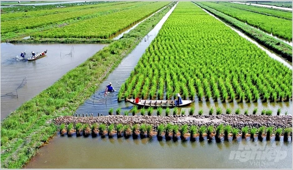 Từ c&aacute;nh đồng manh m&uacute;n đến c&aacute;nh đồng tư duy