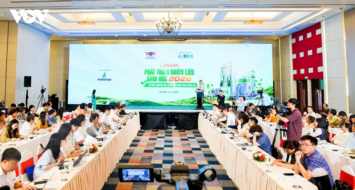Tư duy lại về c&acirc;y sắn, c&acirc;y m&iacute;a: Biến n&ocirc;ng sản th&agrave;nh sản phẩm c&ocirc;ng nghiệp tỷ đ&ocirc;