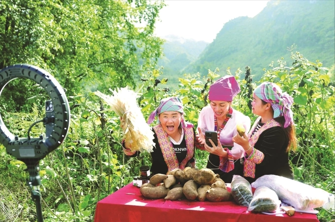 Từ 'thợ c&agrave;y' đến 'CEO n&ocirc;ng nghiệp'
