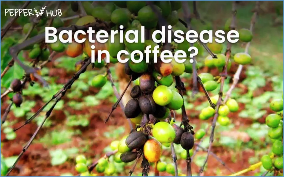 Tuần tin khoa học 989 (27/04-03/05/2026)