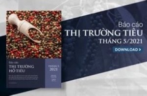 Thị trường hồ ti&ecirc;u qu&yacute; II/2021: Gi&aacute; ti&ecirc;u c&oacute; xu hướng ổn định trong ngắn hạn