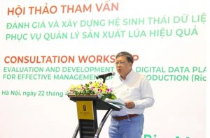 X&acirc;y dựng dữ liệu số phục vụ quản l&yacute; sản xuất l&uacute;a
