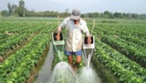 Lợi nhuận tăng th&ecirc;m 10.672 tỷ đồng từ chuyển đổi c&acirc;y trồng