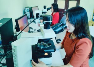 Ghi nhận mới một giống v&agrave; lo&agrave;i tuyến tr&ugrave;ng k&yacute; sinh thực vật nguy hại