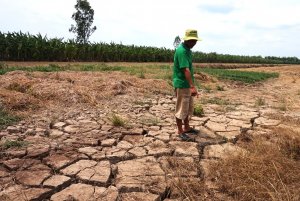 M&ocirc;i trường sống của gần 1/3 lo&agrave;i người c&oacute; nguy cơ n&oacute;ng như sa mạc Sahara 