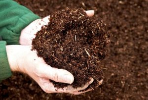 EU đồng &yacute; mức cadimi tối đa trong ph&acirc;n b&oacute;n