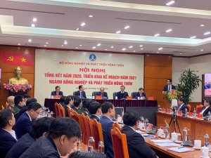 Dấu ấn đặc biệt trong năm đầy s&oacute;ng gi&oacute; của ng&agrave;nh N&ocirc;ng nghiệp