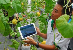 Đẩy mạnh đổi mới s&aacute;ng tạo gi&uacute;p n&acirc;ng cao năng suất chất lượng n&ocirc;ng nghiệp Việt Nam 