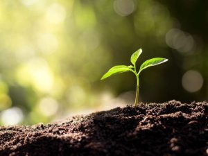 Cải tiến c&ocirc;ng nghệ n&ocirc;ng nghiệp th&uacute;c đẩy m&ocirc;i trường thực phẩm l&agrave;nh mạnh hơn