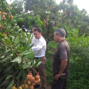 Chương tr&igrave;nh mỗi x&atilde; một sản phẩm đ&oacute;ng g&oacute;p quan trọng t&aacute;i cơ cấu n&ocirc;ng nghiệp