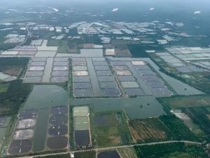 Viễn th&aacute;m c&oacute; thể gi&uacute;p nu&ocirc;i t&ocirc;m đ&aacute;p ứng c&aacute;c cam kết bền vững?