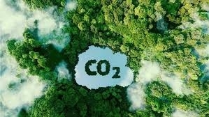 Việt Nam x&acirc;y dựng thị trường carbon: Từ cam kết Net Zero đến "tiền tệ xanh" của tương lai