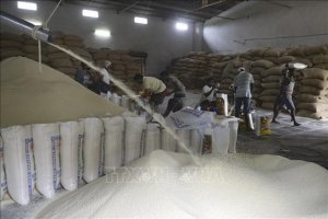 Tuần qua: Gi&aacute; gạo Ấn Độ v&agrave; Th&aacute;i Lan xuất khẩu đều tăng, cơ hội cho Việt Nam