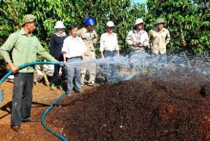 Ứng dụng than sinh học v&agrave; ph&acirc;n hữu cơ kho&aacute;ng thế hệ mới trong canh t&aacute;c c&acirc;y c&agrave; ph&ecirc; ch&egrave; tại Đăk N&ocirc;ng