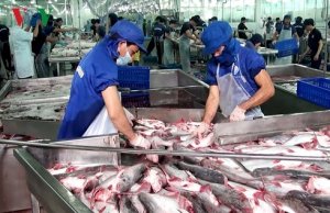 Cần ch&iacute;nh s&aacute;ch cho quỹ t&iacute;n dụng bảo l&atilde;nh khoản vay l&agrave;m n&ocirc;ng nghiệp?