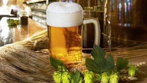 Với b&ocirc;̣ gen lúa mạch được x&ecirc;́p chu&ocirc;̃i, bia và rượu whiskey sẽ ngon hơn