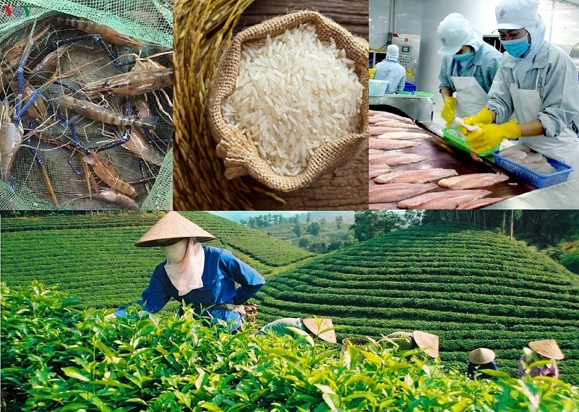 X&acirc;y dựng chiến lược xuất khẩu n&ocirc;ng - l&acirc;m - thuỷ sản hướng tới mục ti&ecirc;u 100 tỷ USD