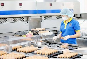 N&ocirc;ng sản Việt Nam: &Aacute;p dụng chuẩn chất lượng để từng bước đ&aacute;p ứng chuẩn hội nhập
