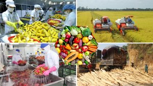 Mũi đột ph&aacute;: Cần sự đồng bộ