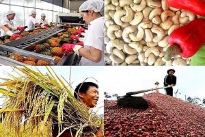 Xuất si&ecirc;u to&agrave;n ng&agrave;nh n&ocirc;ng l&acirc;m ngư nghiệp đạt tr&ecirc;n 10 tỷ USD