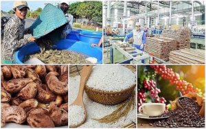 Xuất khẩu n&ocirc;ng l&acirc;m thuỷ sản th&aacute;ng 1/2025 suy giảm, nhưng vẫn c&oacute; một số mặt h&agrave;ng tăng trưởng