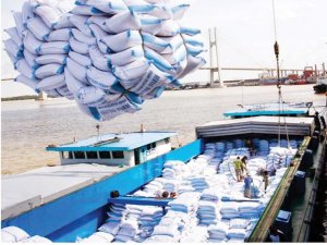 USDA: Dự b&aacute;o thương mại gạo thế giới
