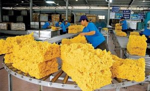 Gi&aacute; cao su tăng mạnh, doanh nghiệp xuất khẩu l&atilde;i to
