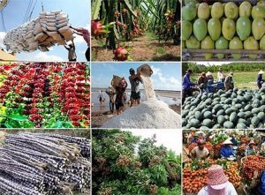 Xuất khẩu n&ocirc;ng l&acirc;m thủy sản th&aacute;ng 1/2023: Nhiều mặt h&agrave;ng diễn biến tr&aacute;i chiều