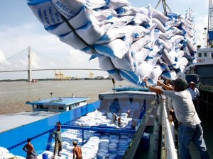 Xuất khẩu gạo qu&yacute; 1 giảm: Doanh nghiệp &ldquo;đ&oacute;n gi&oacute;&rdquo; nhầm hướng