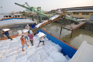 Cơ giới h&oacute;a phải gắn với thị trường