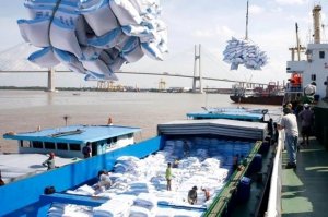 Xuất khẩu gạo 3 th&aacute;ng đầu năm giảm mạnh về gi&aacute; trị 