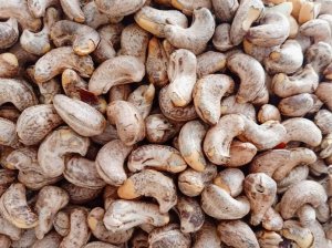 Xuất khẩu hạt điều đạt 3,31 tỷ USD 