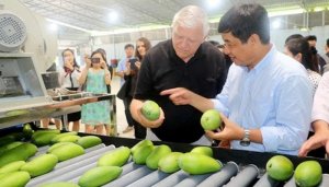 Xo&agrave;i Việt ra thế giới, xuất khẩu tăng trưởng 16,5% trong qu&yacute; 1