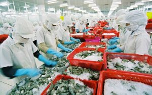 Xuất khẩu n&ocirc;ng nghiệp: Khởi sắc từ thị trường lớn