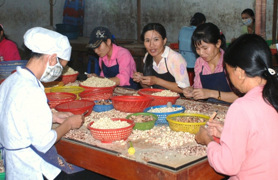 Xuất khẩu điều kỳ vọng c&aacute;n mốc kỷ lục 5 tỷ USD 