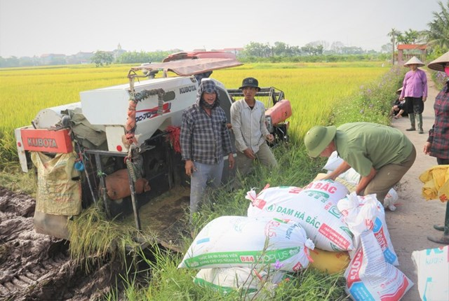Xuất khẩu giảm tốc, ng&agrave;nh l&uacute;a gạo đứng trước y&ecirc;u cầu đổi hướng