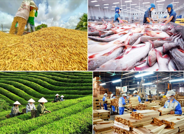 Xuất khẩu n&ocirc;ng l&acirc;m thủy sản 5 th&aacute;ng đầu năm 2026 đạt hơn 30,6 tỷ USD