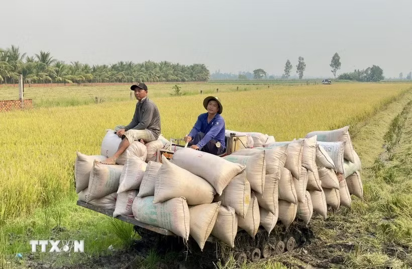 Xuất khẩu n&ocirc;ng l&acirc;m thủy sản ước đạt 23,04 tỷ USD trong 4 th&aacute;ng đầu năm 2026 