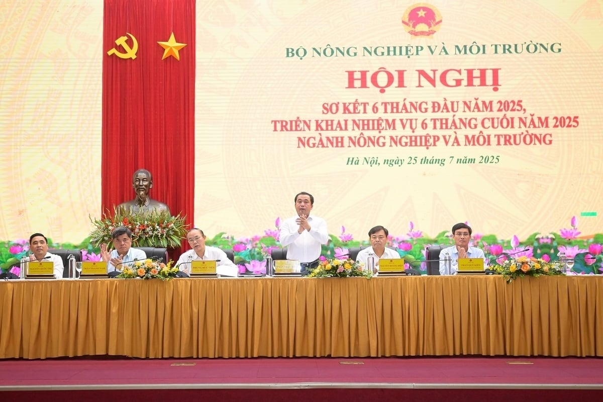 Xuất khẩu n&ocirc;ng l&acirc;m thủy sản vượt kỳ vọng, đạt 33,84 tỷ USD, tăng 15,5% 