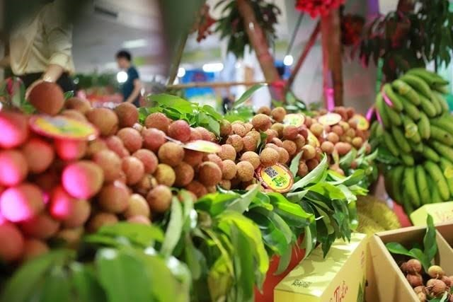 Xuất khẩu rau quả 6 th&aacute;ng đầu năm 2026 - Trung Quốc tiếp tục giữ vị thế chủ lực
