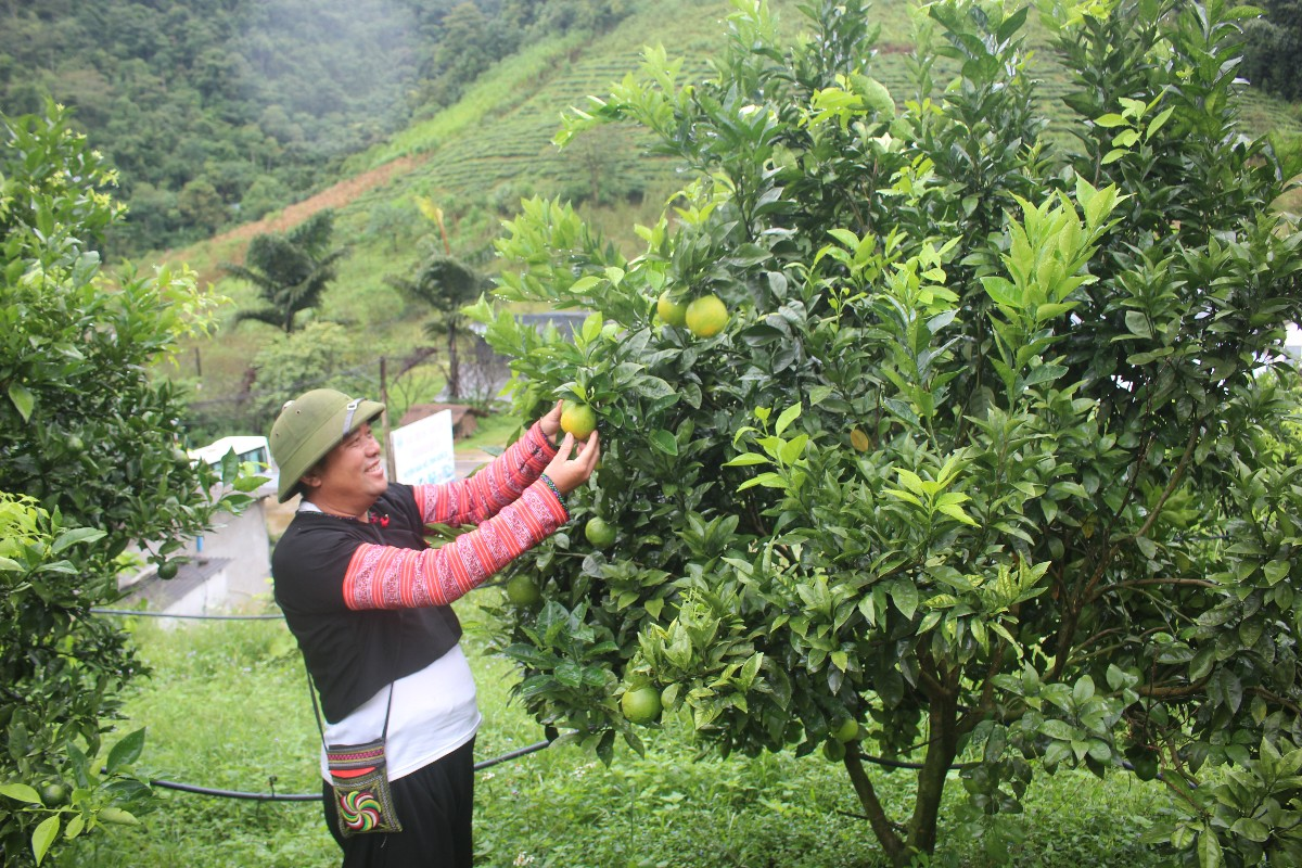 Xuất khẩu rau quả tăng tốc, mốc kỷ lục 10 tỷ USD đ&atilde; rất gần