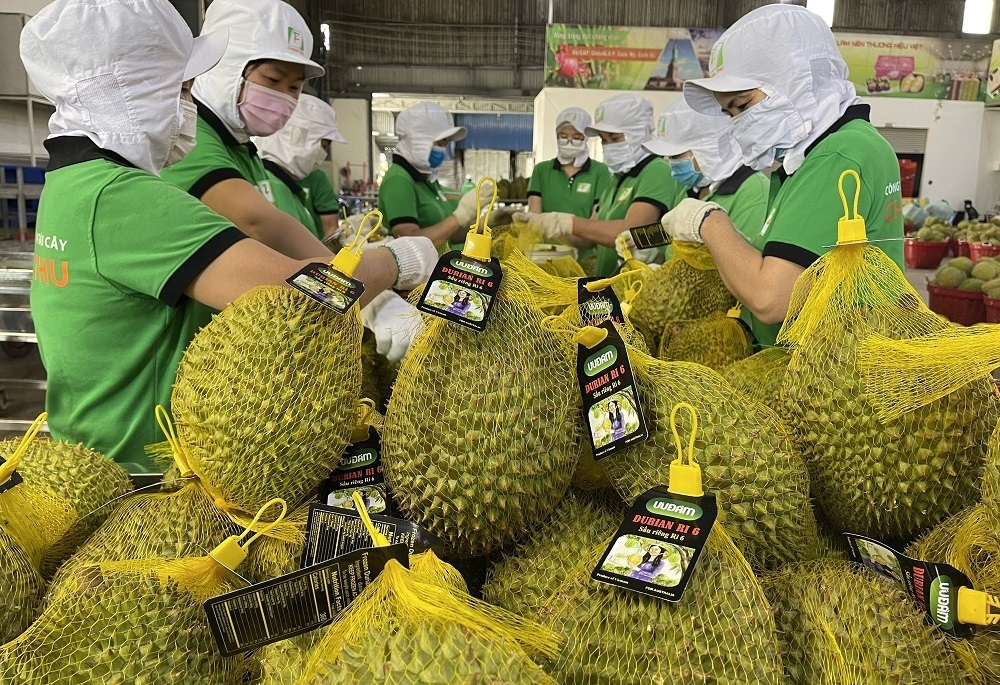 Xuất khẩu rau quả Việt Nam v&agrave; b&agrave;i to&aacute;n t&aacute;i cấu tr&uacute;c, đa dạng h&oacute;a thị trường