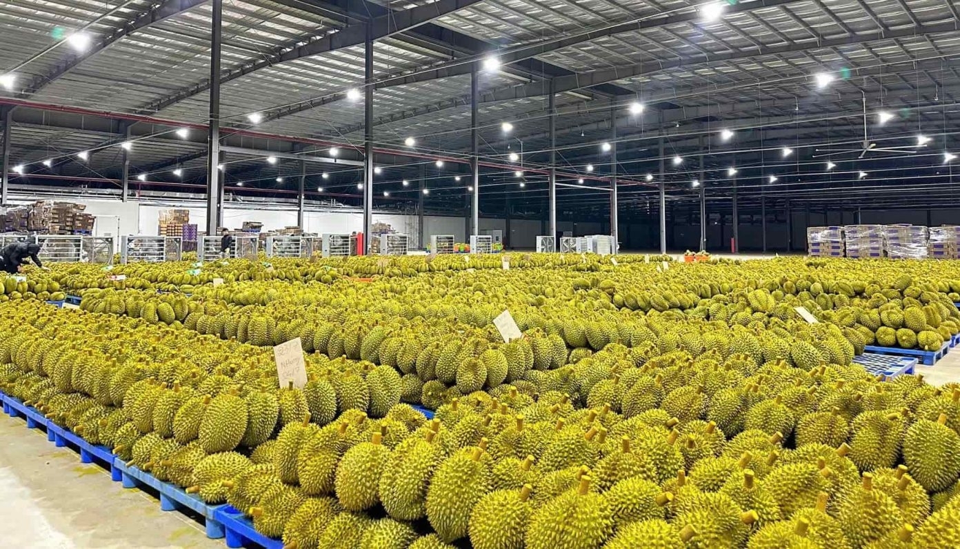 Xuất khẩu sầu ri&ecirc;ng tươi tăng 10 lần, đạt hơn 207.000 tấn