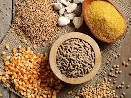 Xuất khẩu thức ăn gia s&uacute;c 2 th&aacute;ng đầu năm 2026 tăng 61,7%