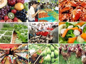 Xuất khẩu n&ocirc;ng l&acirc;m thủy sản đạt gần 25 tỷ USD