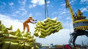 Tăng cường c&aacute;c giải ph&aacute;p th&uacute;c đẩy sản xuất, xuất khẩu gạo